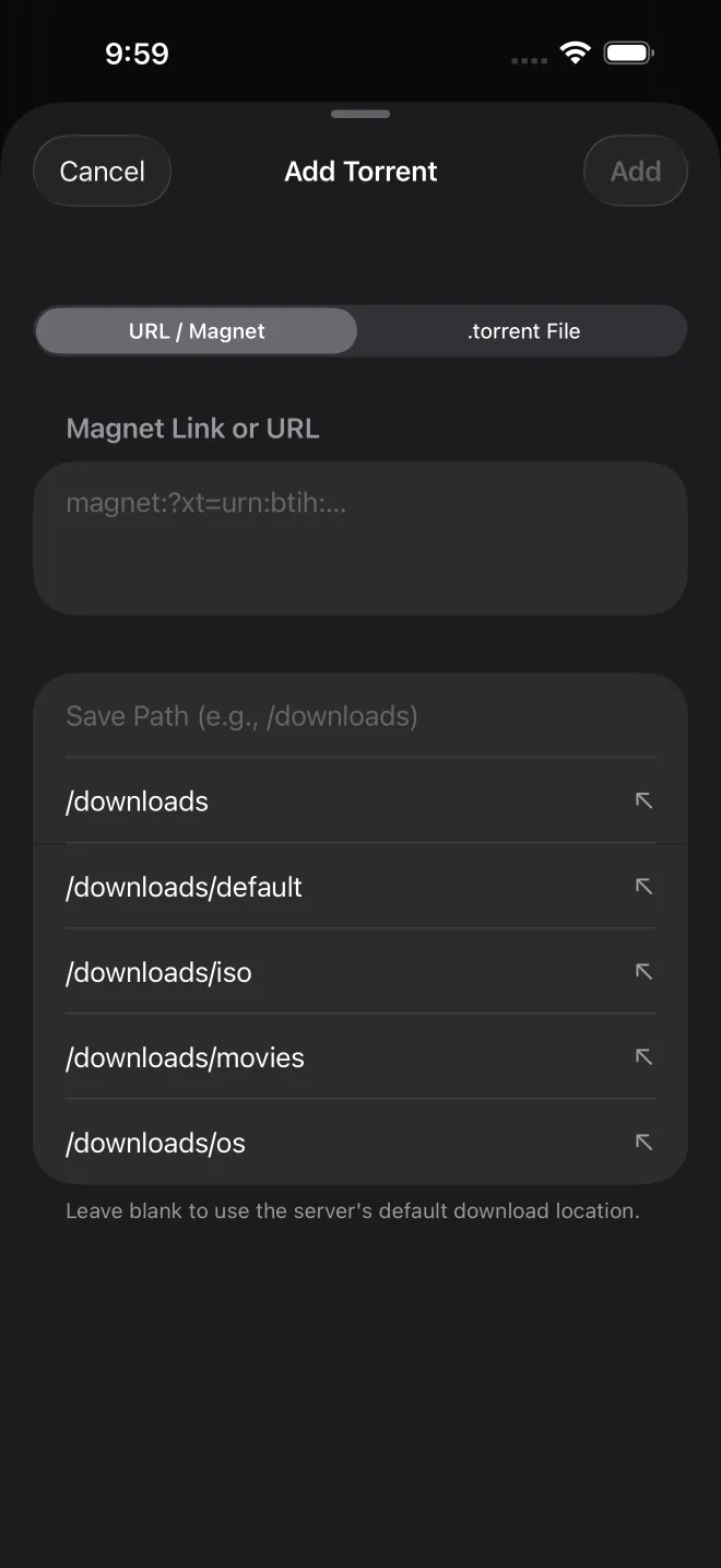 Add-torrent screen accepting magnet links and .torrent files
